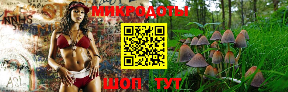 Ишим  Псилоцибиновые грибы мухоморы  Вход с VPN 