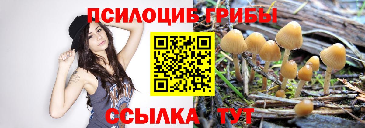 Псилоцибиновые грибы мицелий Ишим
